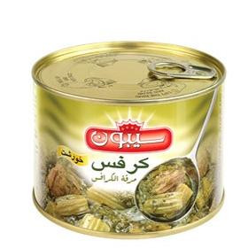 آیسان تکنام پویا - سیبون